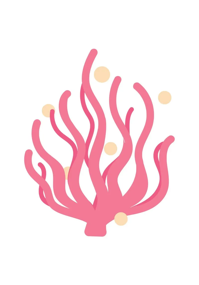 Alghe rosa giocose - Illustrazione della flora marina costiera poster con telaio in plastica da NorwesClub