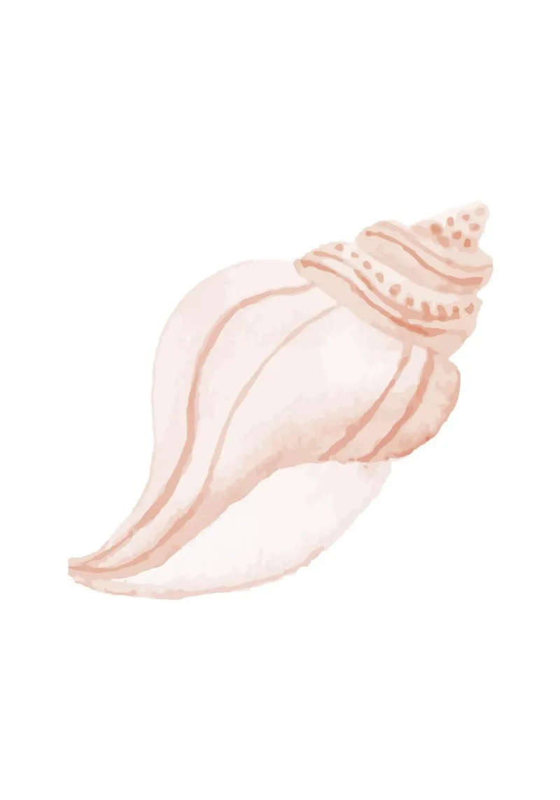 Concha de Alca - Acuarela Arte Marino Costero hahnemühle de NorwesClub