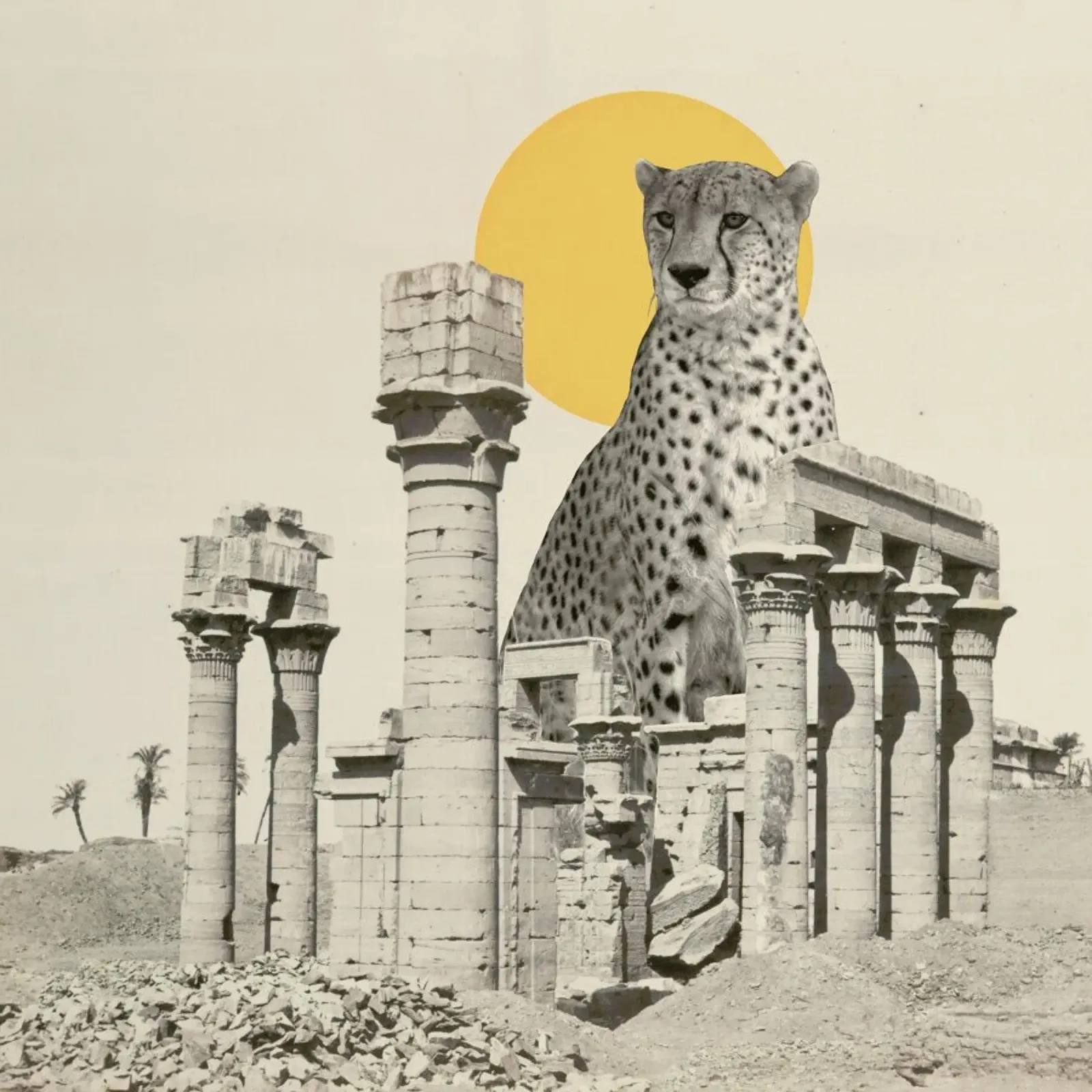 Giant Cheetah in Ruins pellicola backlit da Florent Bodart