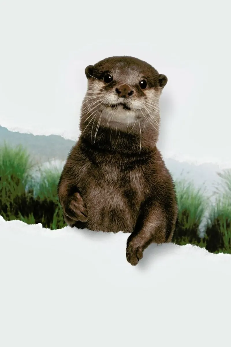 Otter Torn Paper alluminio dibond da JONAS LOOSE KIDS