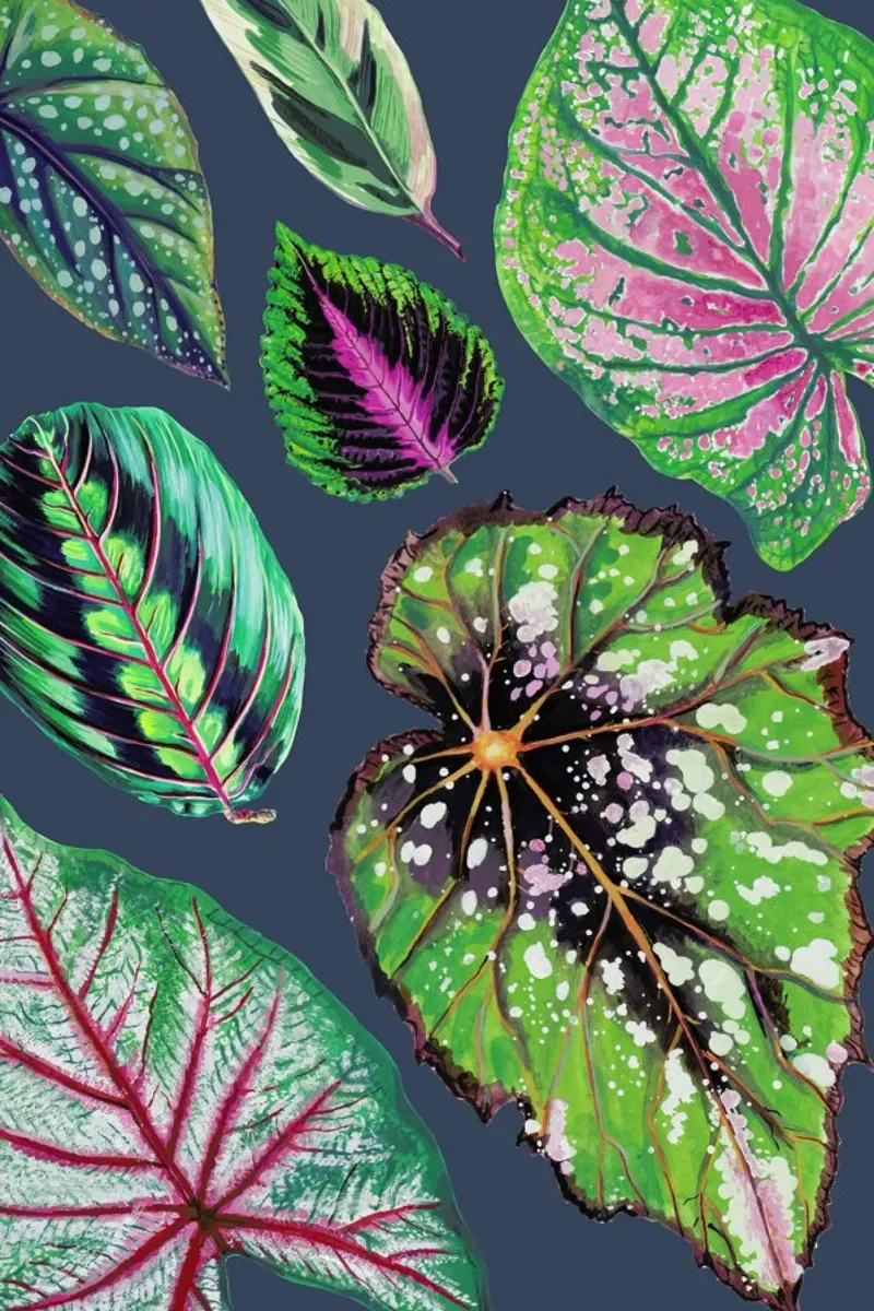 Teal Mixed Houseplants poster con telaio in plastica da Rocket68