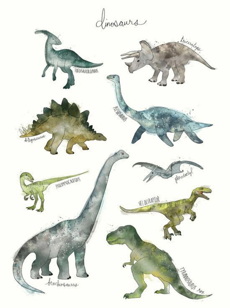 algunas fotos de dinosaurios de amy hamilton poster de kbm store