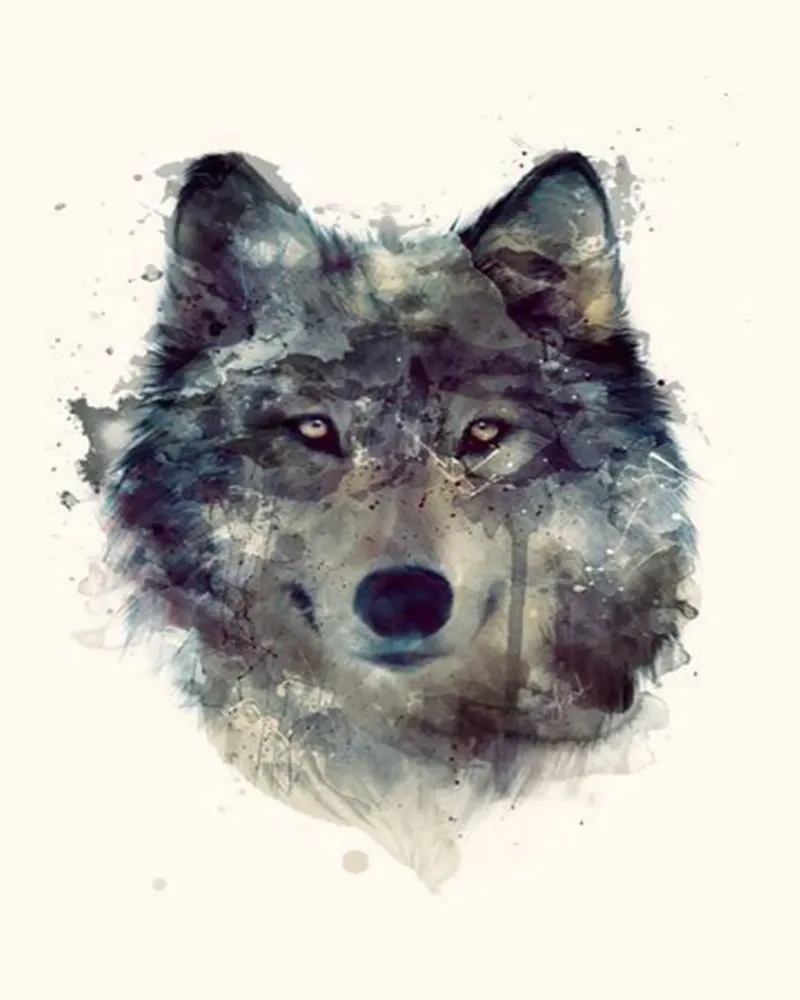 amy hamilton predatore faccia da lupo poster con telaio in alluminio da kbm store