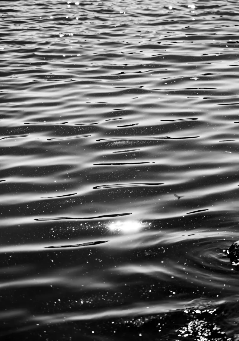 Lago Calmo pellicola backlit da rafael campezato