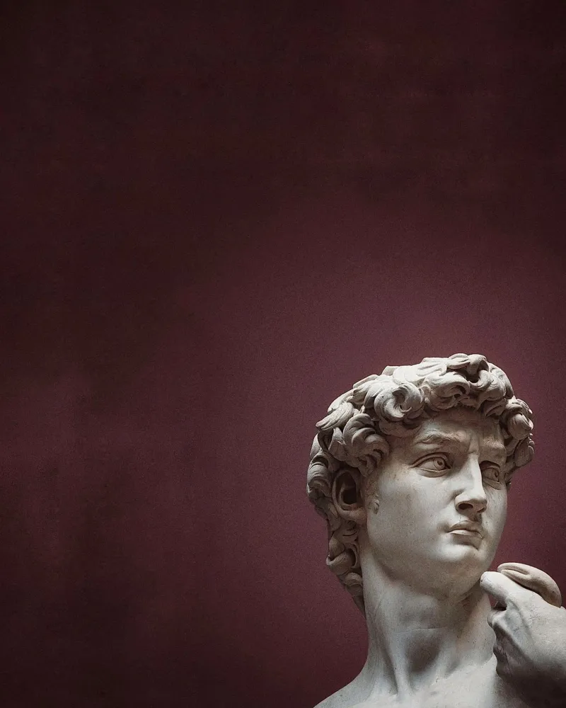 Il David di Michelangelo Arte pellicola backlit da Brooke