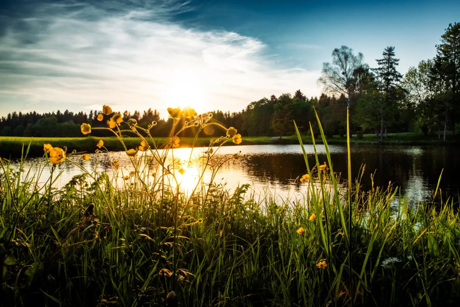 Abendruhe am Schalkofener Weiher in Bayern Acryl-Glas von 5ecken