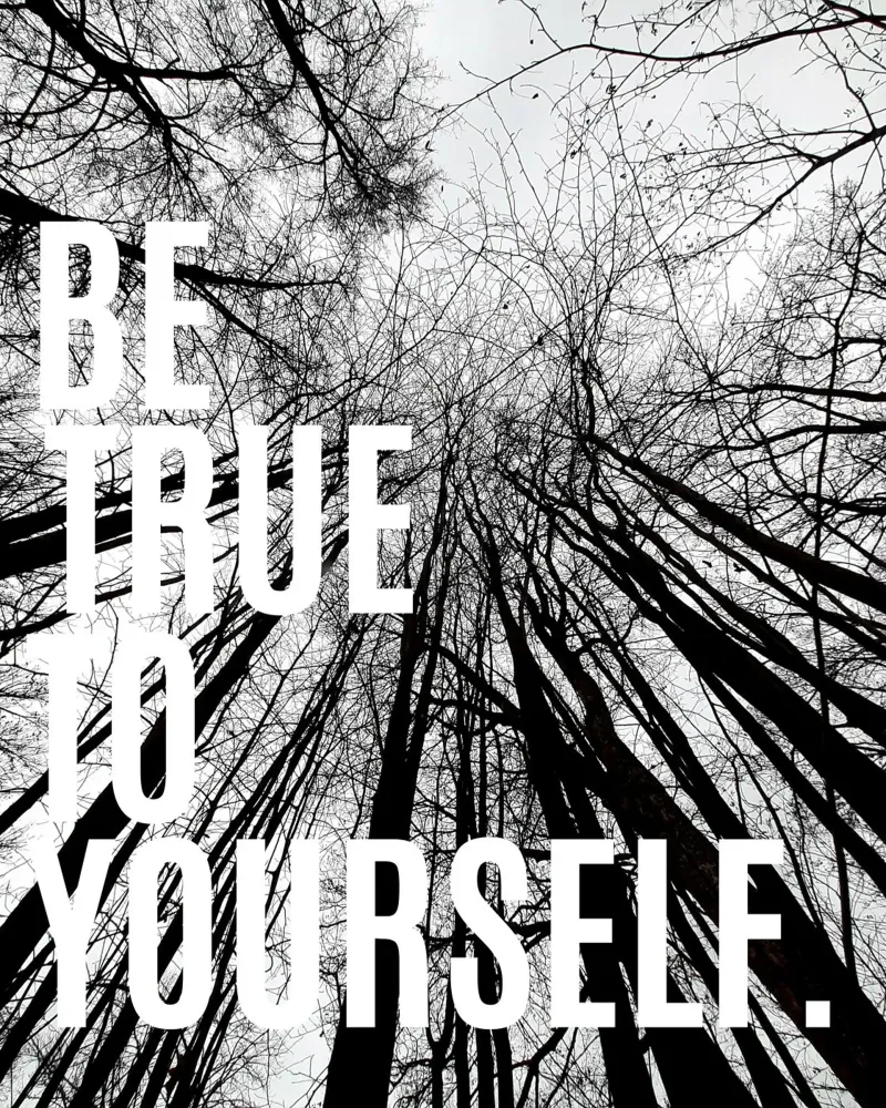 ultimate truth plexiglass da Ambition Wall