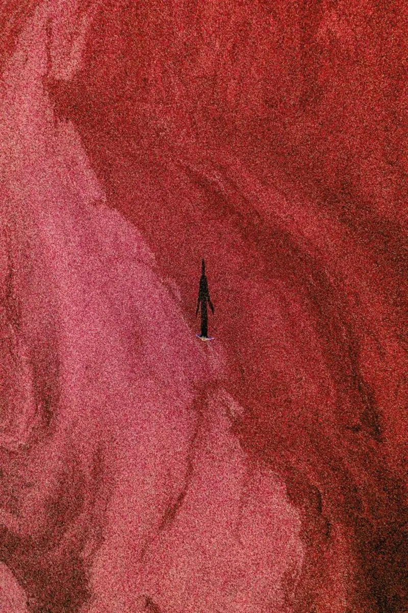 Cranberries II alu-dibond by METROPOLIS