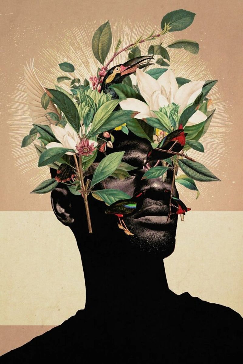 Birds Are My Real Origin poster van Frank Moth