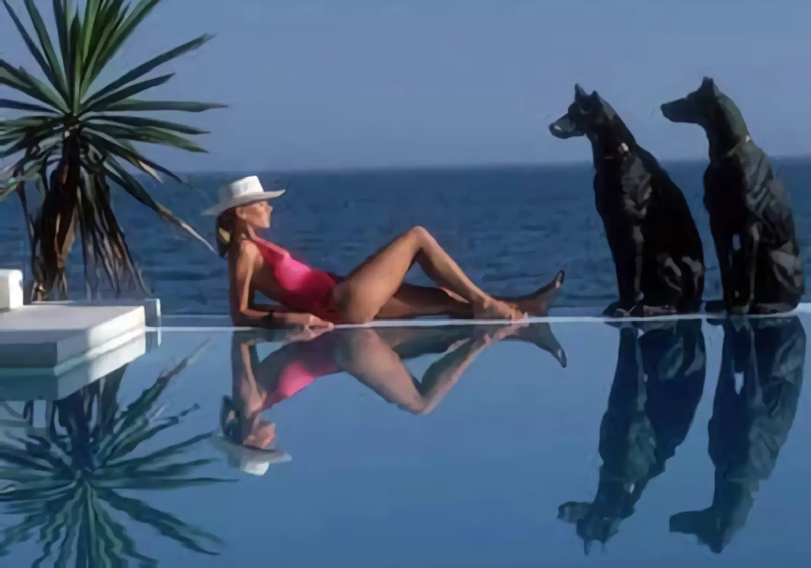 Slim Aarons - Bikini a bordo piscina e due cani neri pellicola backlit da The Poster UK