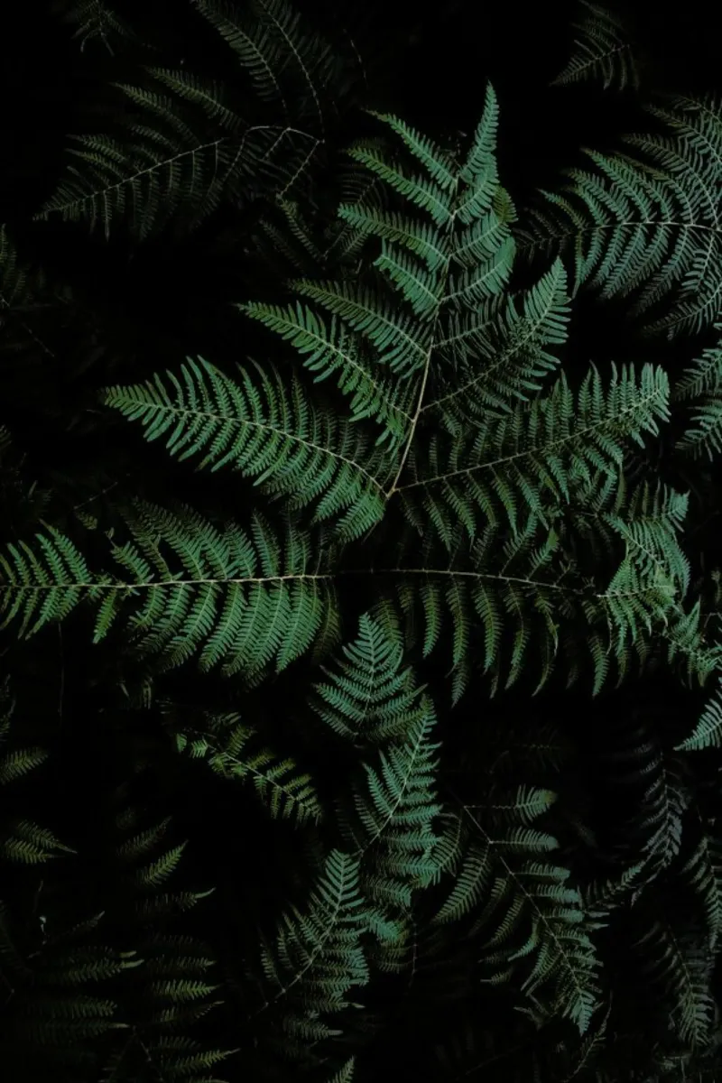 Lush Forest Greens acryl van Studio Nahili