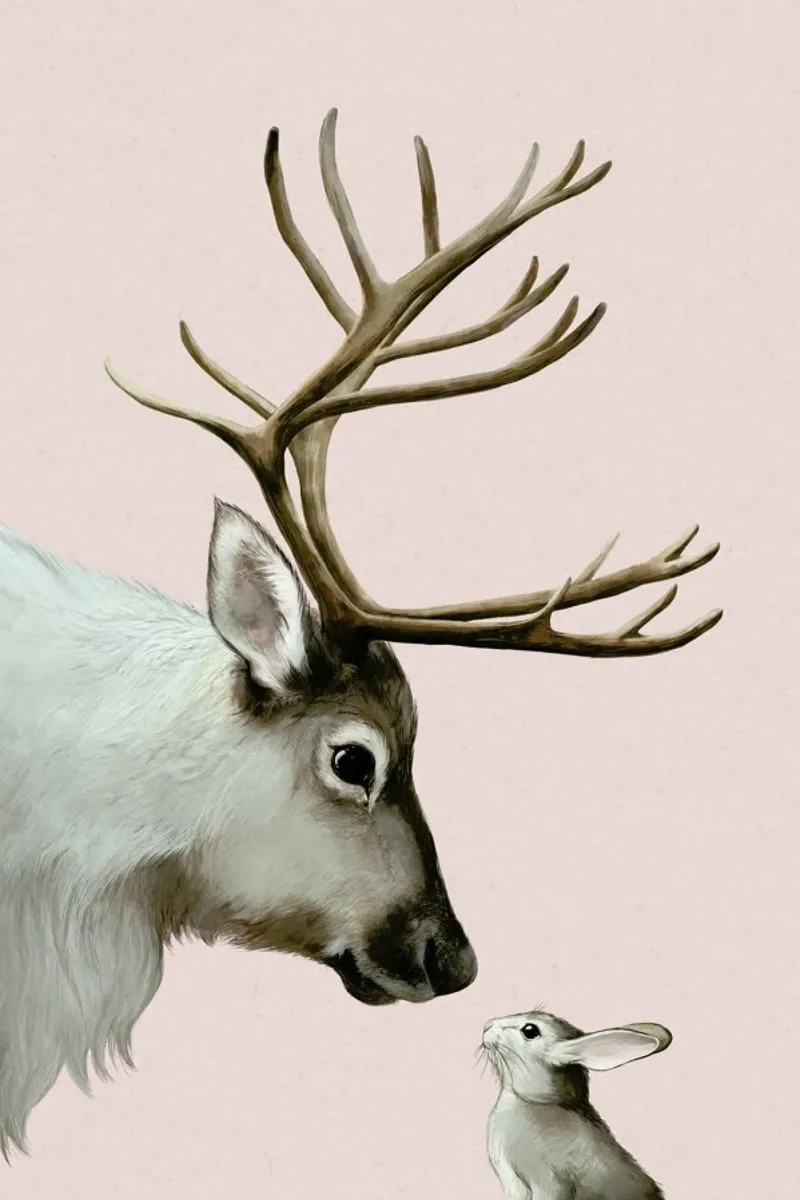 Reindeer And Rabbit pellicola backlit da Laura Graves