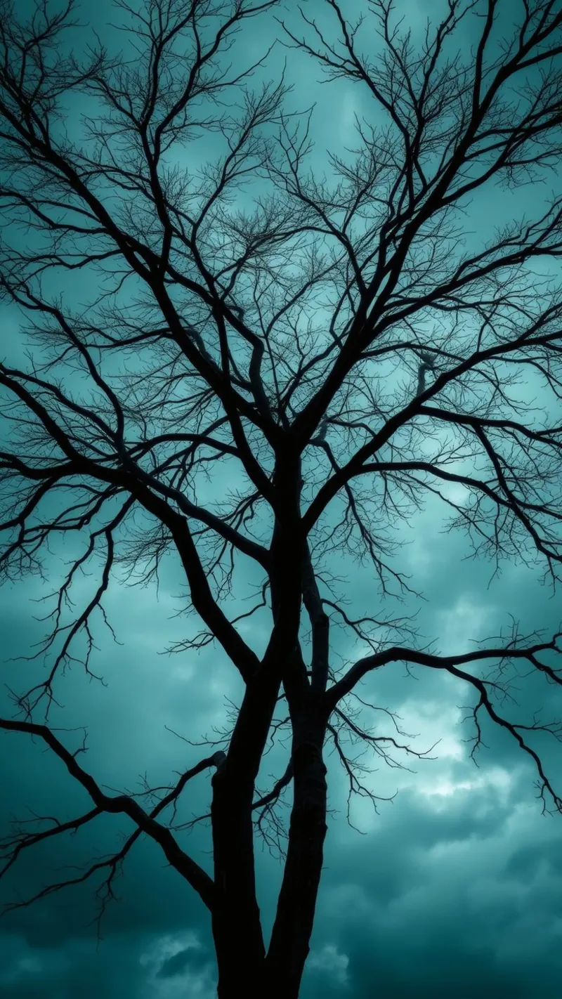 Sagoma scura di un albero senza foglie contro un cielo tempestoso pellicola backlit da DesignDoodle