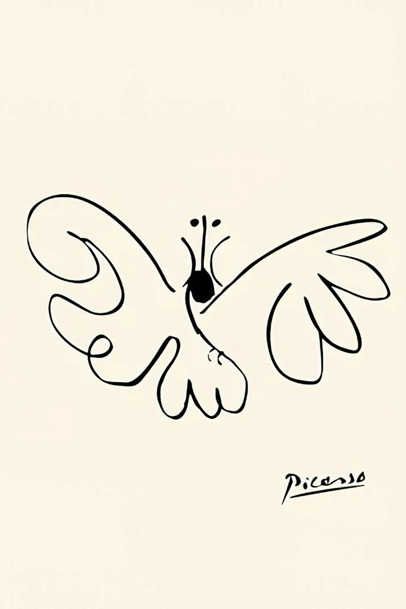 Farfalla Picasso pellicola backlit da Kenneth