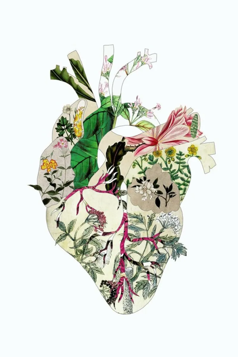 Vintage Botanical Heart poster con telaio in plastica da Bianca Green