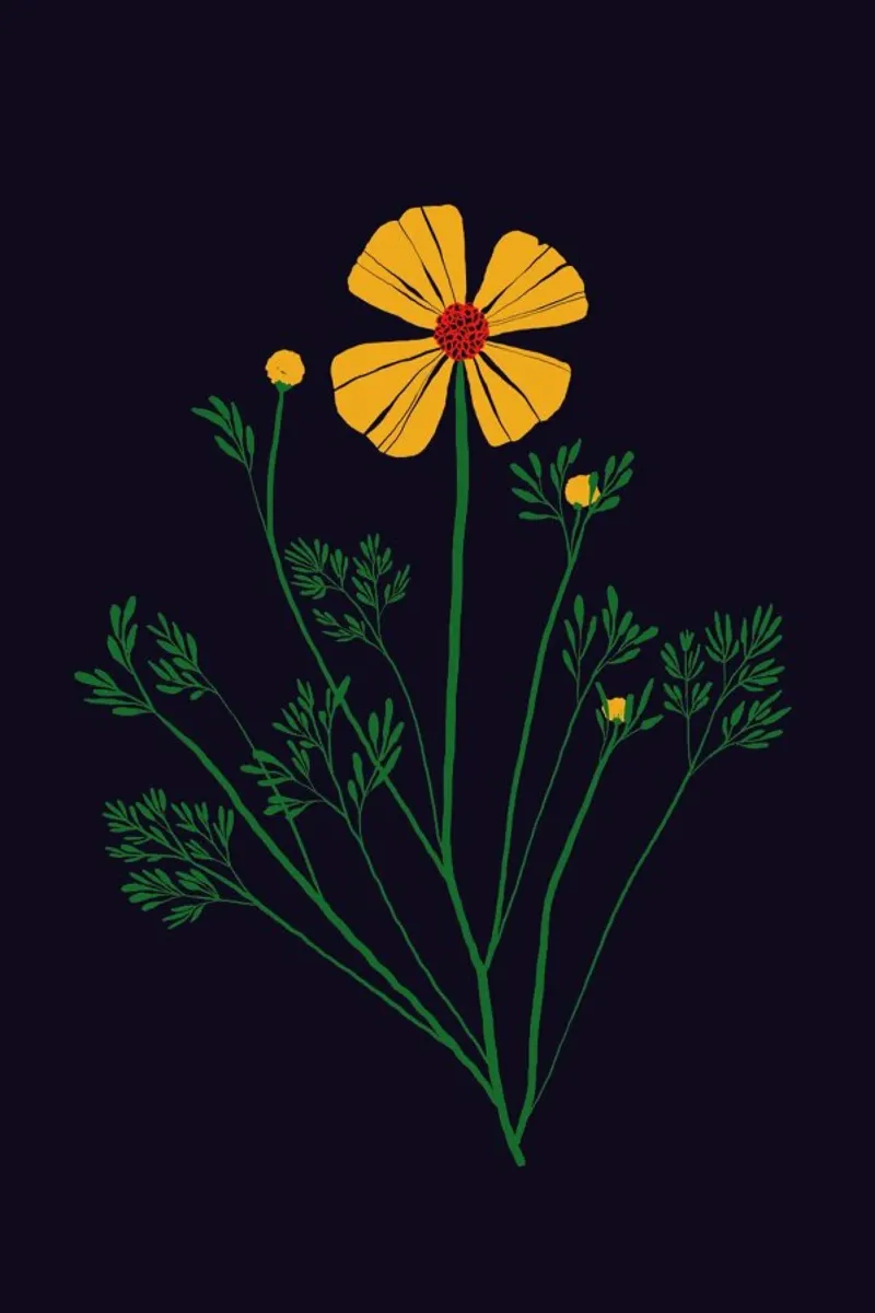 Wildflowers with Foliage carta hahnemühle da Pure