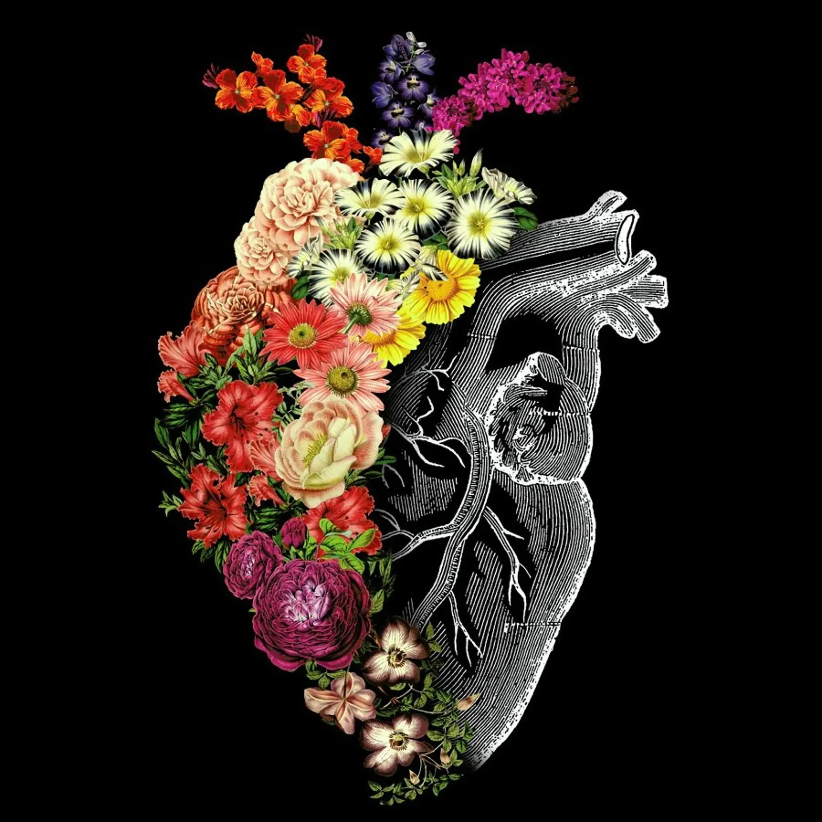 Flower Heart Spring pellicola backlit da Tobe Fonseca