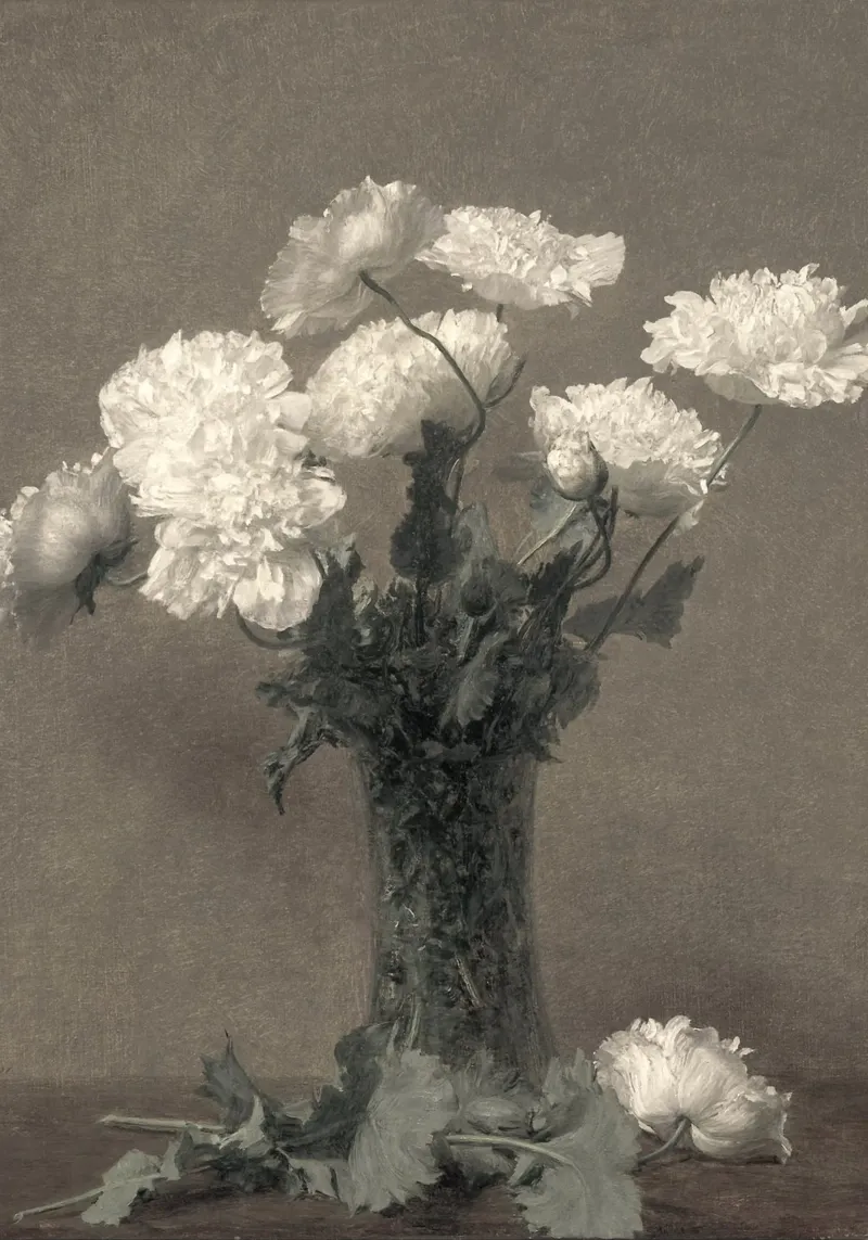 Fantin-Latour: Klaprozen Stilleven, Realisme, Monochrome Flora canvas met Baklijst van NorwesClub