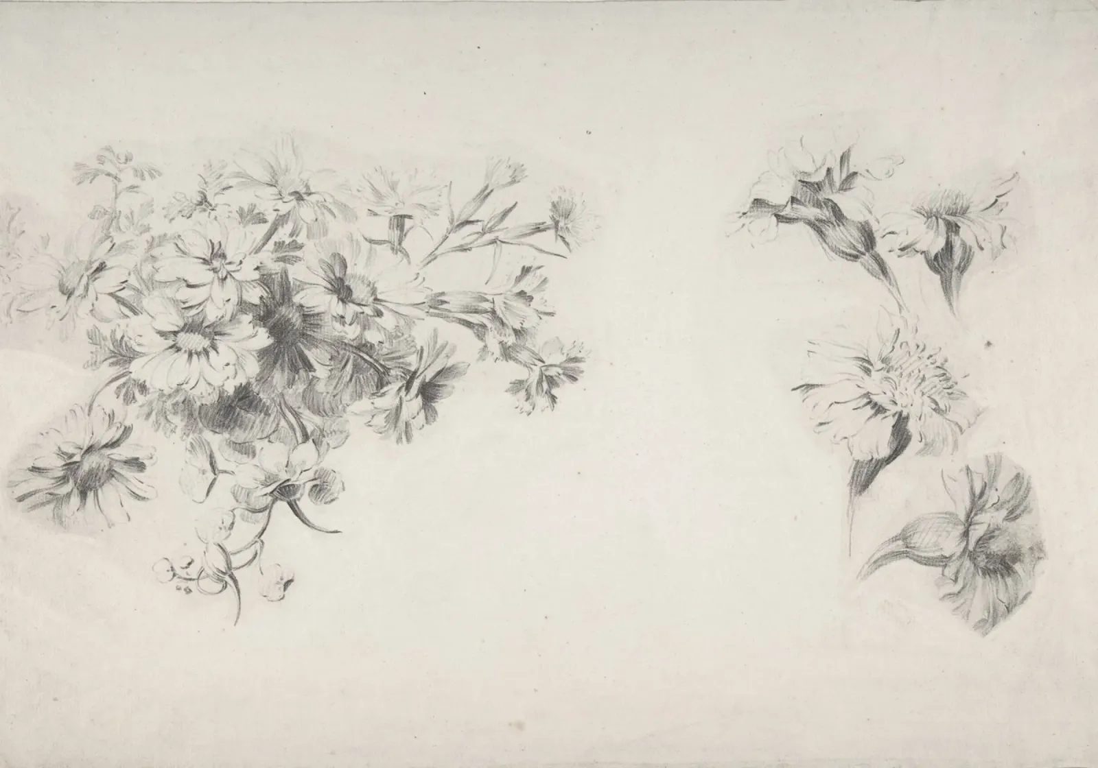 Van Geel: Bloemstudies, Botanische schets, Delicate canvas met Baklijst van NorwesClub