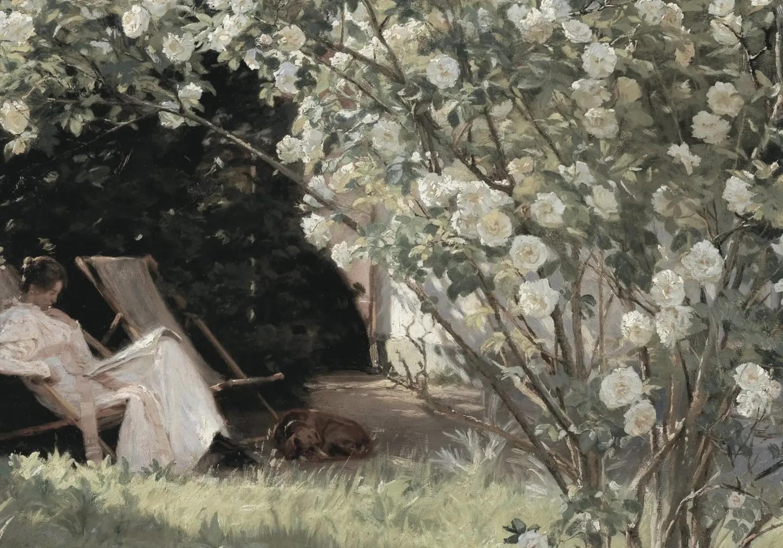 Kröyer: Roses in Bloom, Impressionist Garden, Serene Read poster with wooden frame by NorwesClub