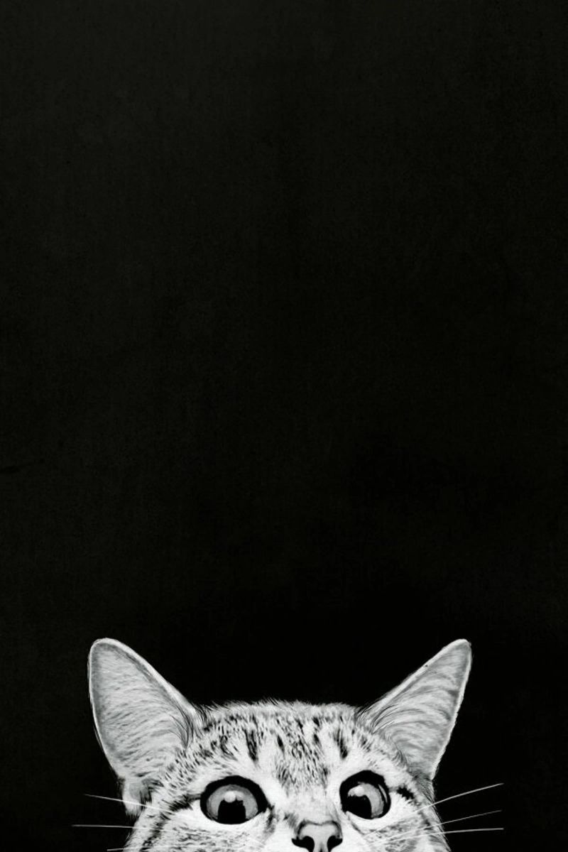 You Asleep Yet? alluminio dibond da Laura Graves