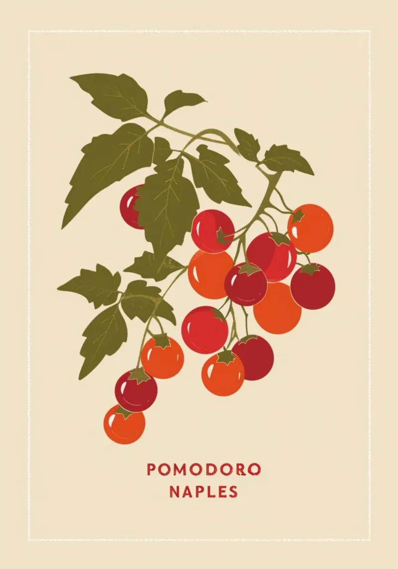 "Pomodoro Naples" Botanische Poster met tomatenranken - Keukenkunst hahnemühle van NorwesClub