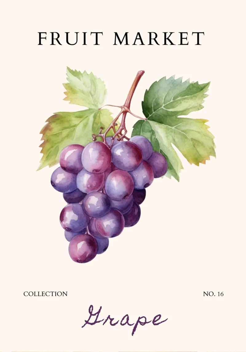 Poster sul mercato dell'uva e della frutta - Acquerello botanico - Kitch plexiglass da NorwesClub