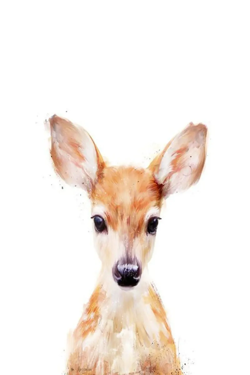 cervo bambino animale pennellate Amy Hamilton poster con telaio in plastica da kbm store