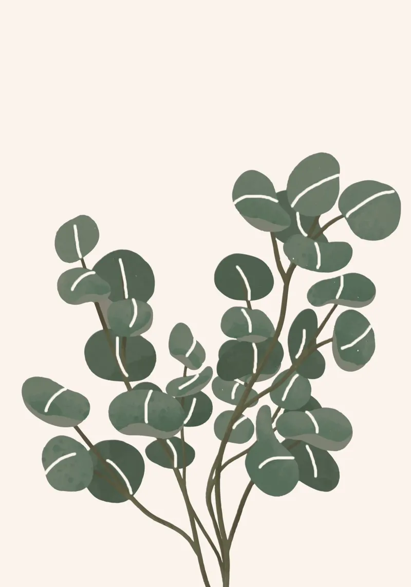 Little Eucalyptus pellicola backlit da Flow Line