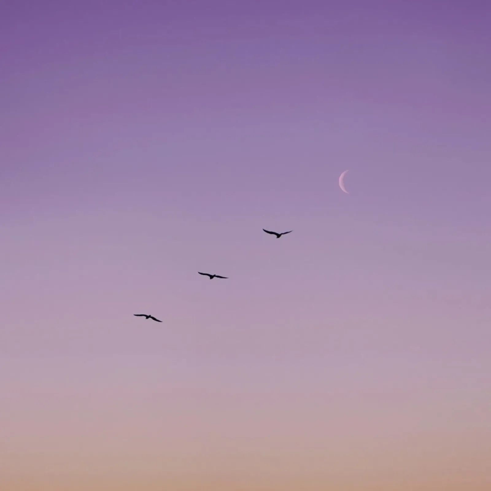 To The Moon And Back poster da Rupert Höller