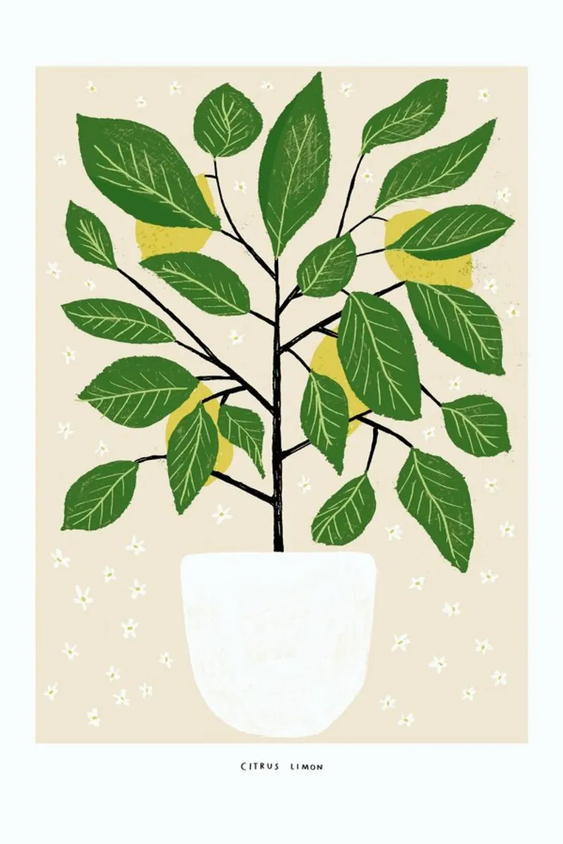 Citrus Limon - Albero del limone plexiglass da Alex Foster