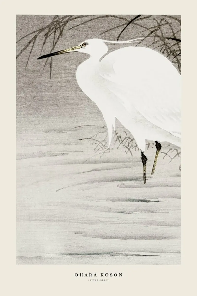 Koson - Little Egret pellicola backlit da Vintage by JUNIQE
