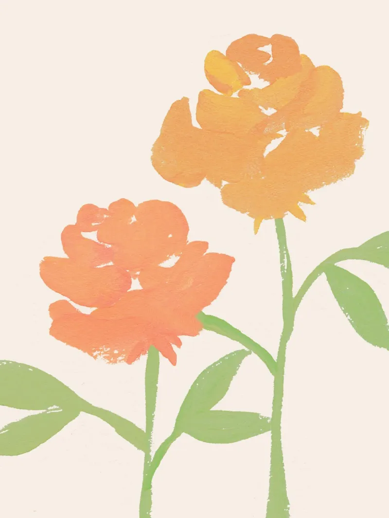 2 Rose - Oro Arancione pellicola backlit da intemporalis