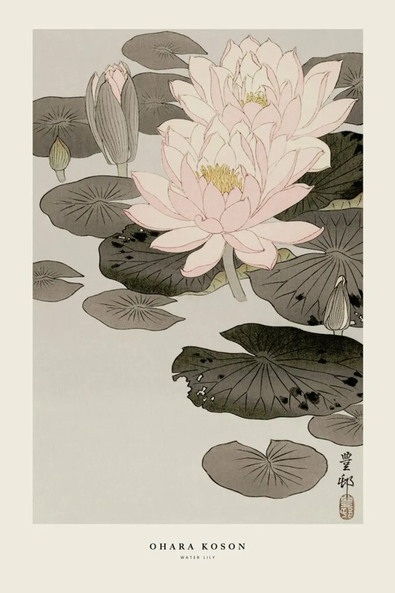 Koson - Water Lily carta hahnemühle da Vintage by JUNIQE