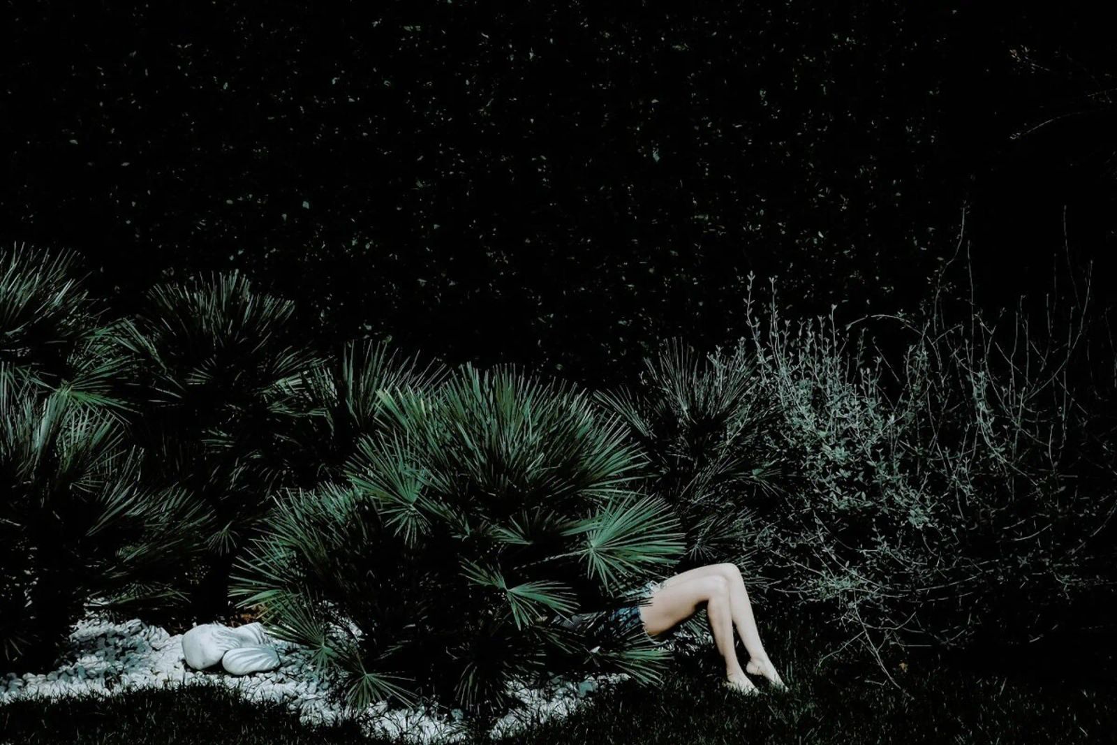 Reconnecting To Nature @FrancescoSambati poster da EyeEm Mobile GmbH