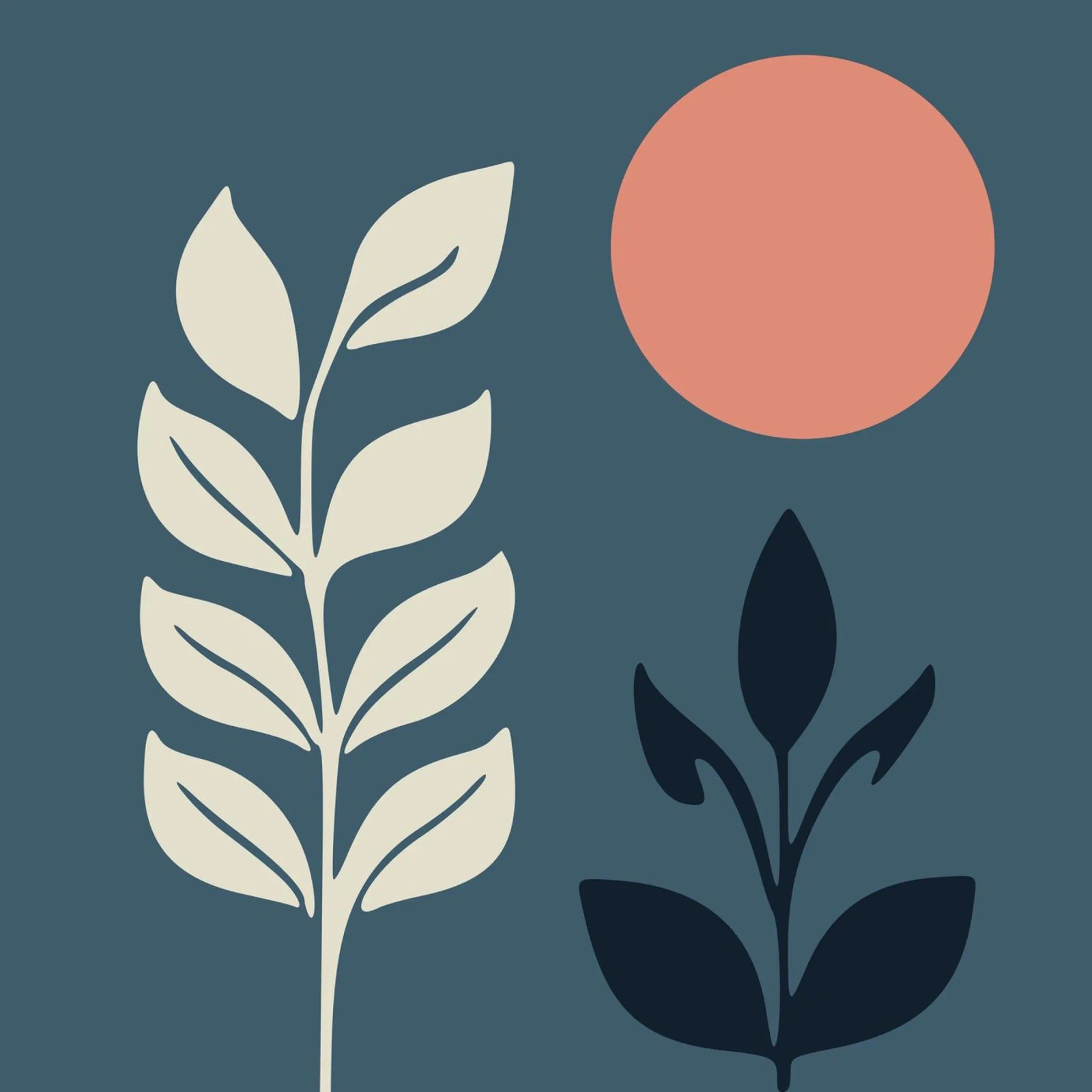 la plante et la lune poster de hinity
