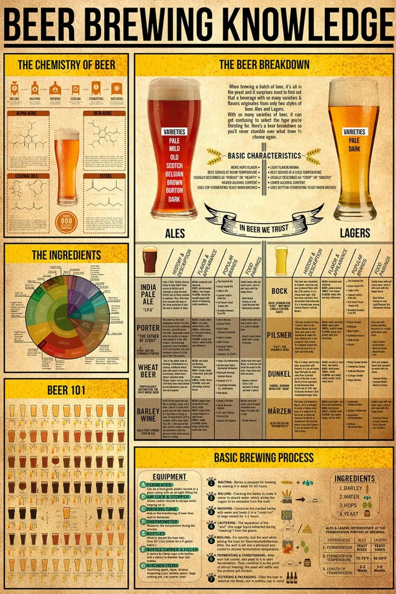 Poster sulla conoscenza della birra pellicola backlit da Maritiknowled