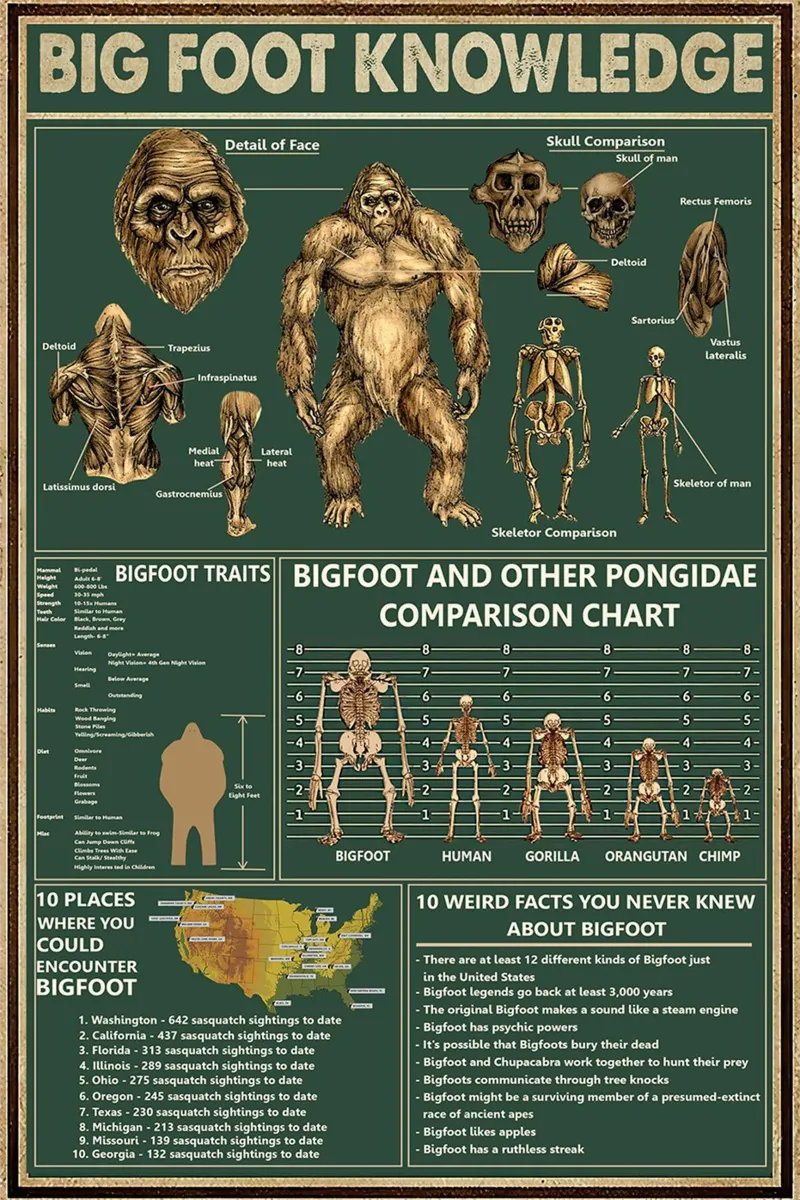 Poster sulla conoscenza di Big Foot poster da Maritiknowled