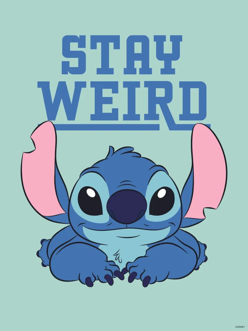 Stitch - Stay weird carta hahnemühle da Stitch