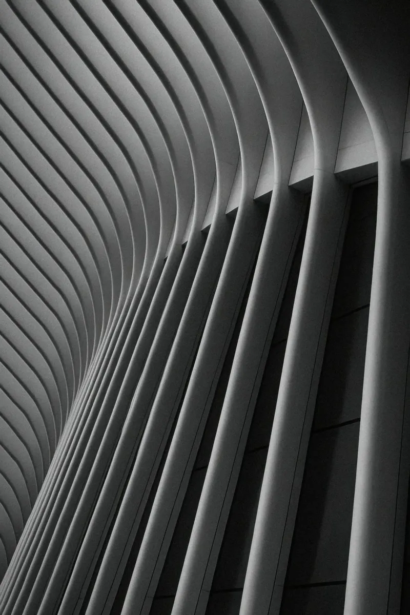 New York - De huid van het stedelijk bot backlit folie van Black & White