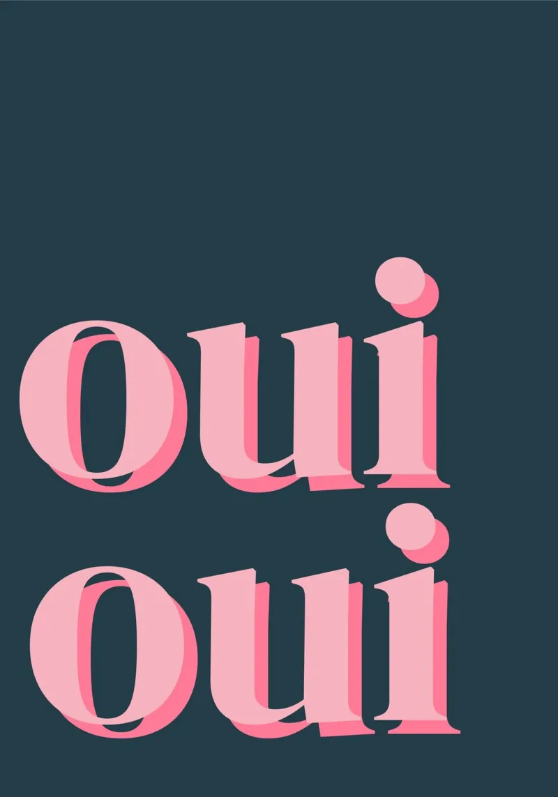 OUI OUI detto francese pellicola backlit da pdigitalprints