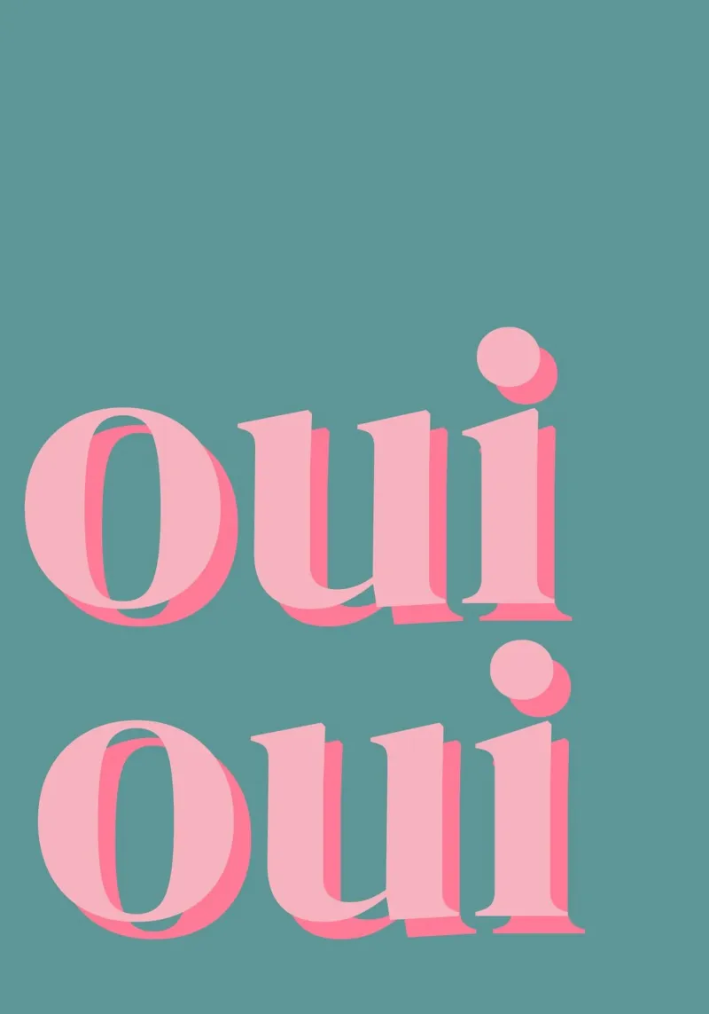 OUI OUI detto francese pellicola backlit da pdigitalprints