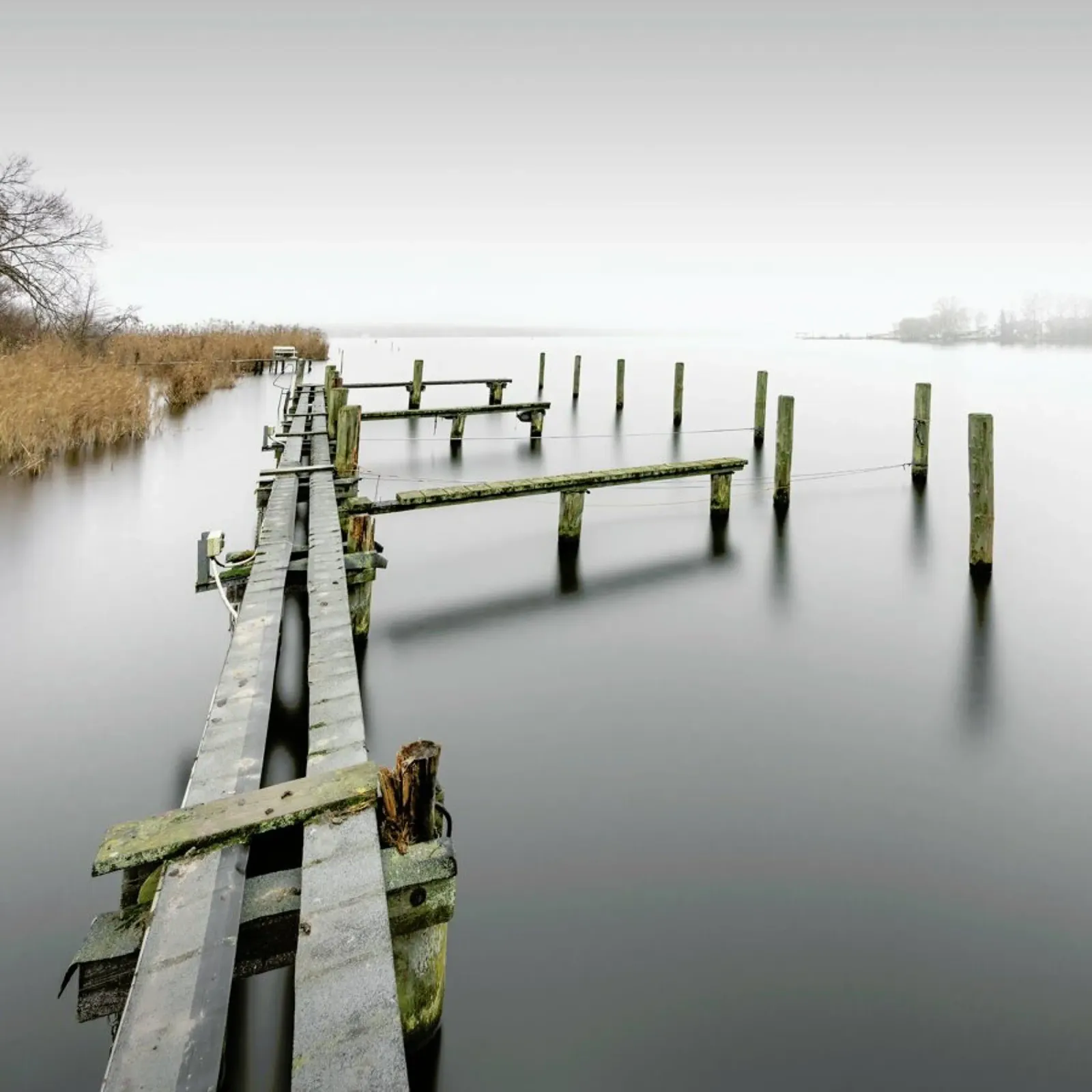 Bathed In Clouds Of Fog | Schwielowsee 2021 alluminio dibond da Håggard Photography | Ronny Behnert