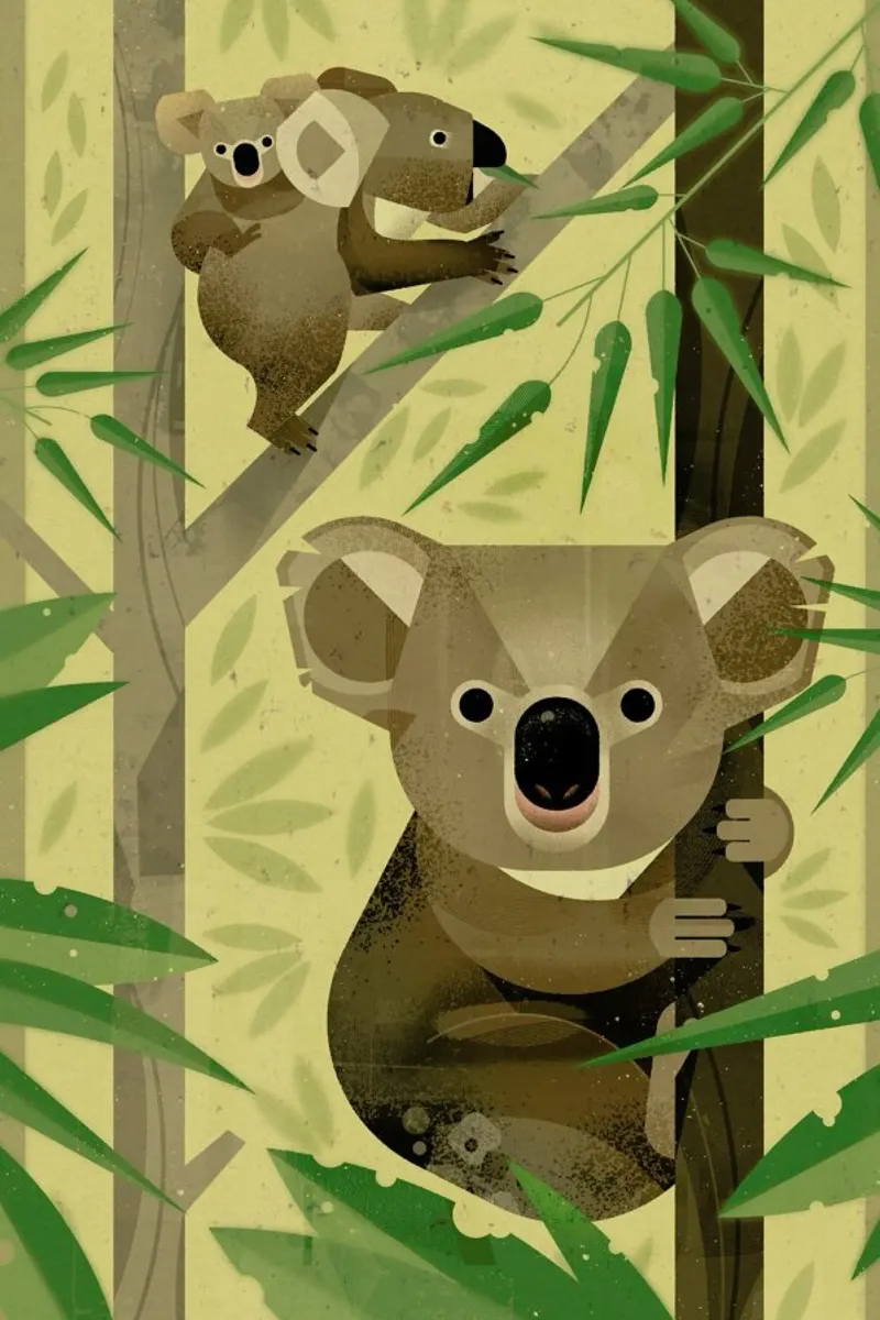 Koala hahnemühle by Dieter Braun