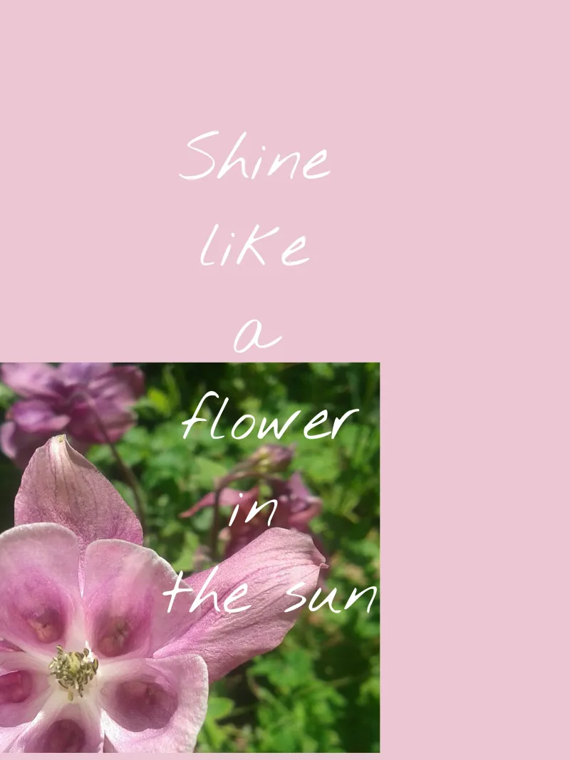 Shine like a flower alluminio dibond da Kreativernetzt
