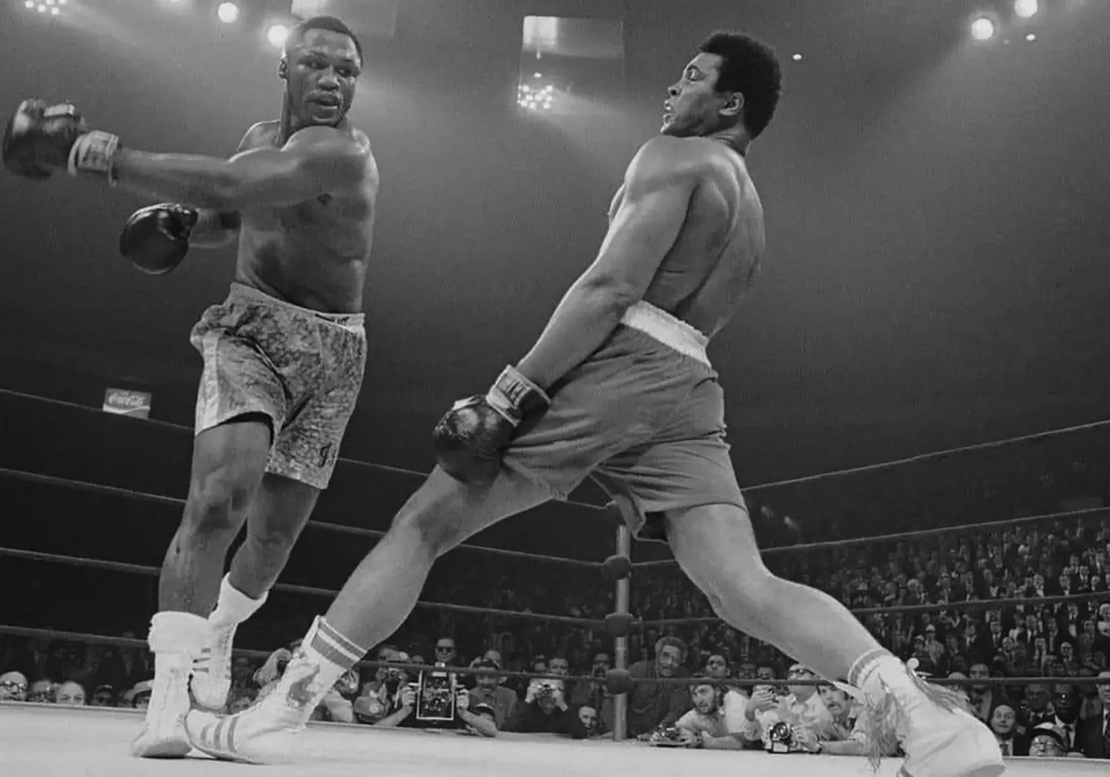 Muhammad Ali pellicola backlit da Attaboy Dsgn