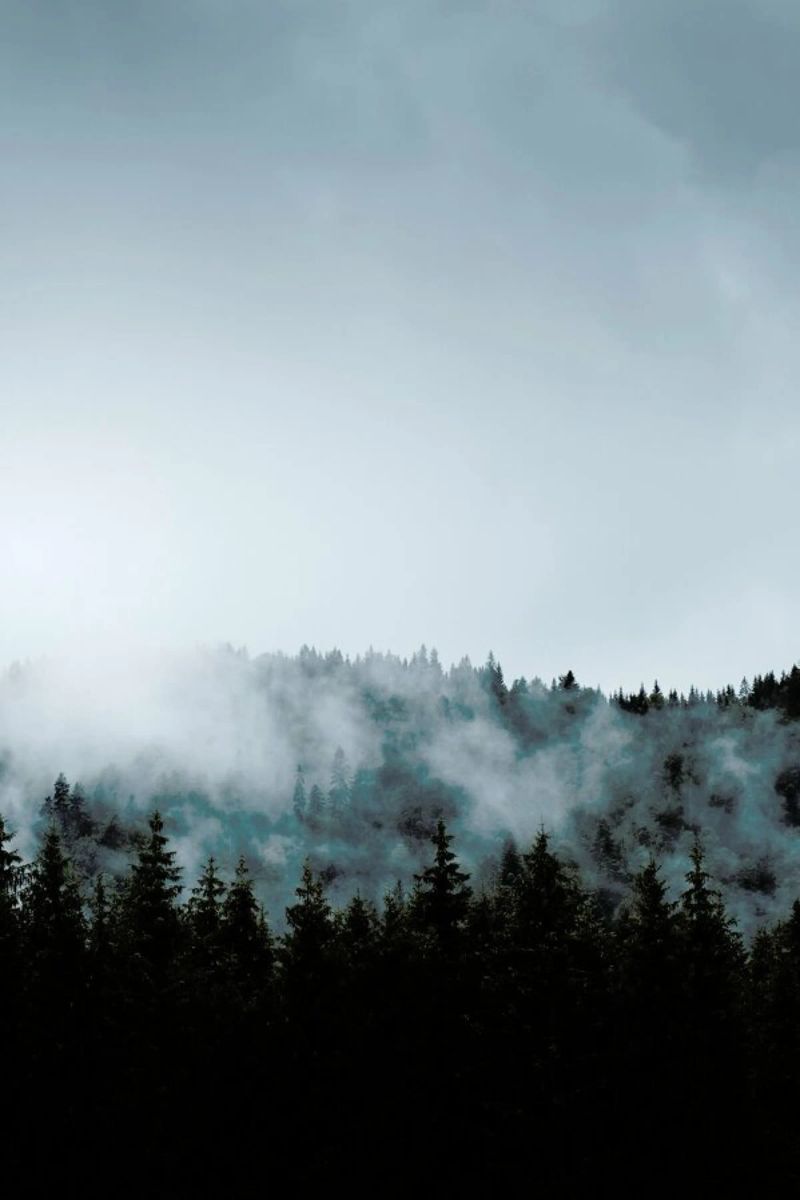 Alps in Fog pellicola backlit da EyeEm Mobile GmbH