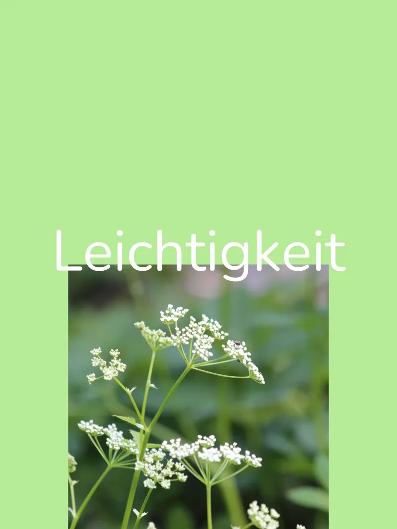 Leggerezza carta hahnemühle da Kreativernetzt