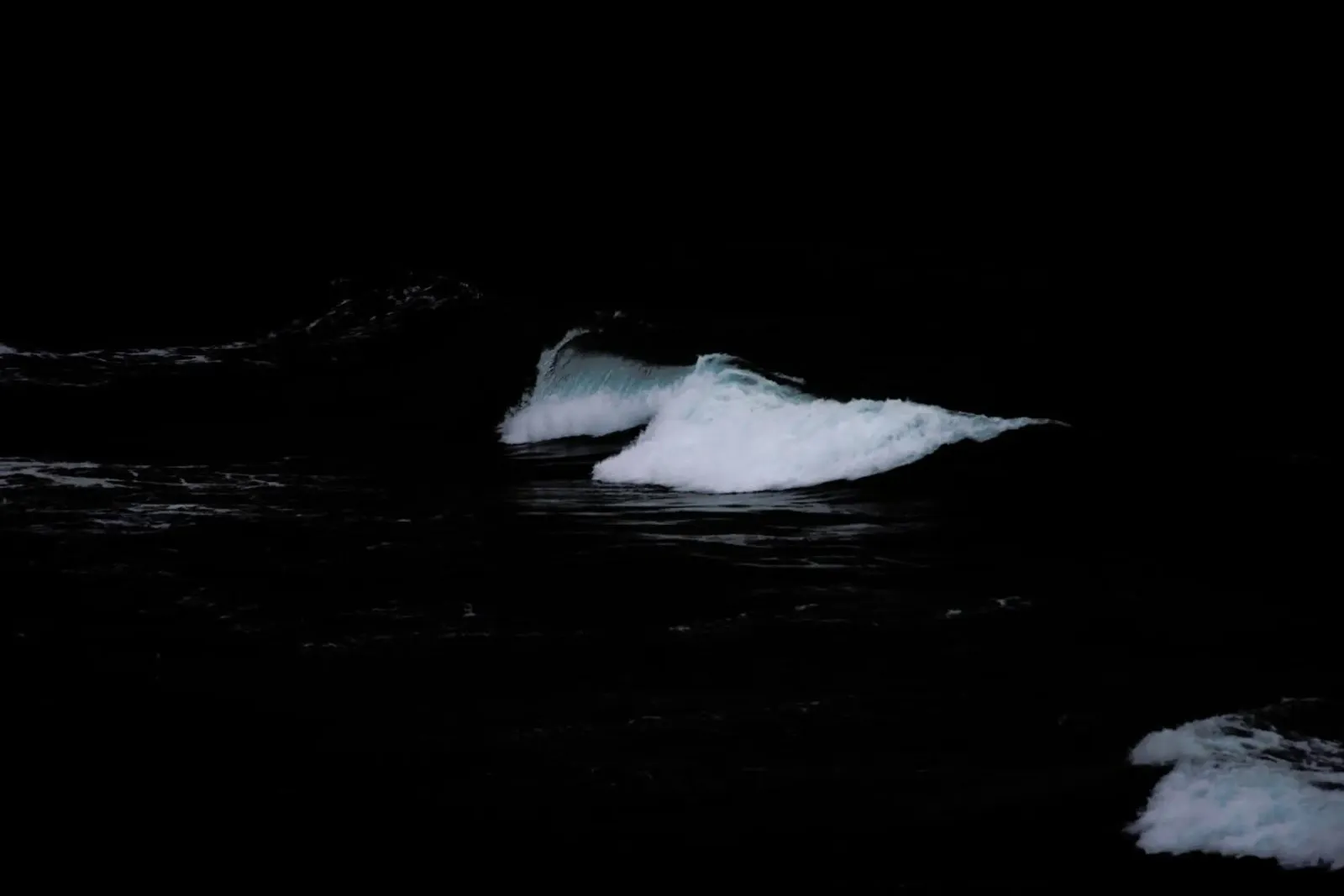 Waveless I pellicola backlit da Tal Paz-Fridman