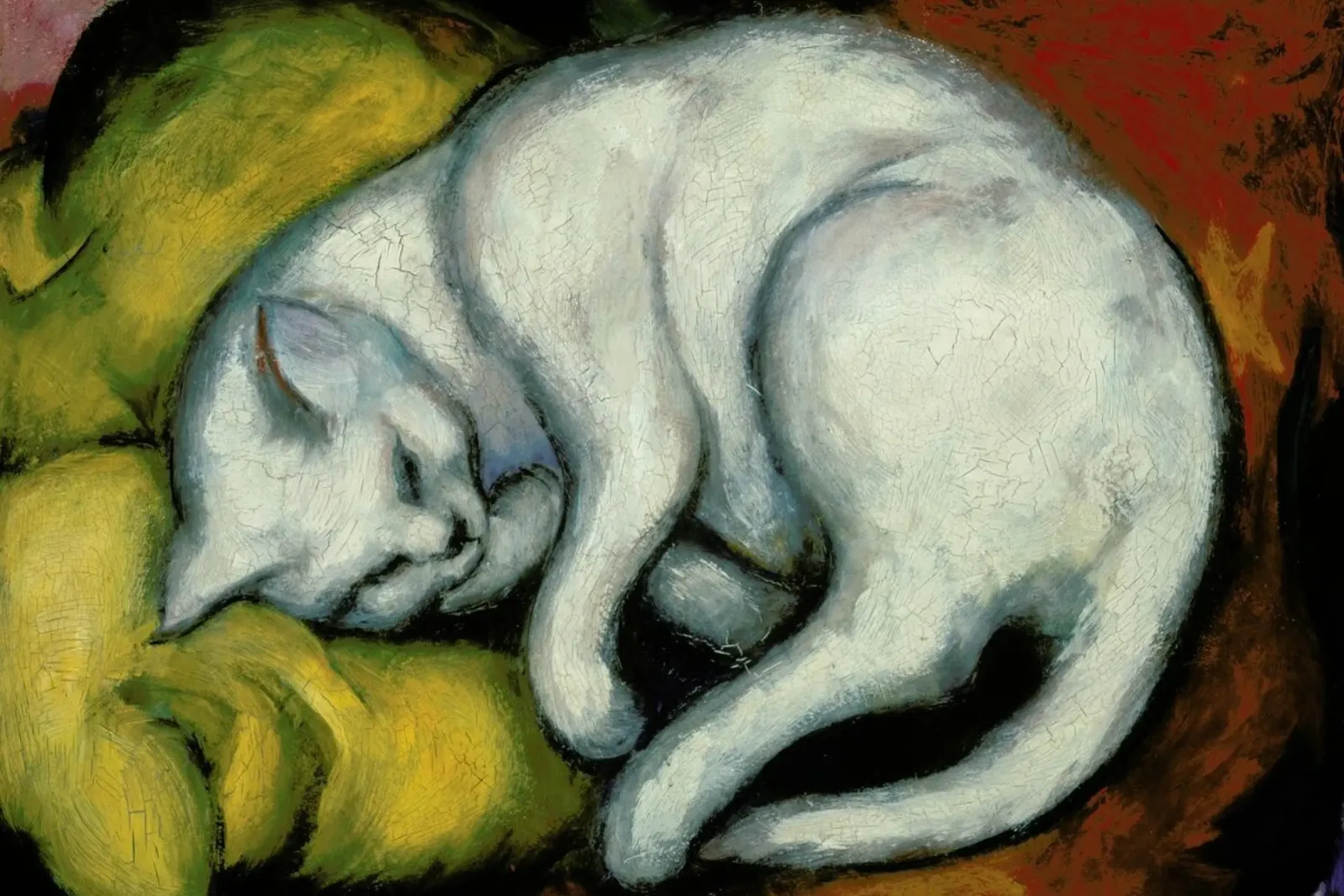 Marc - The White Cat pellicola backlit da ARTOTHEK